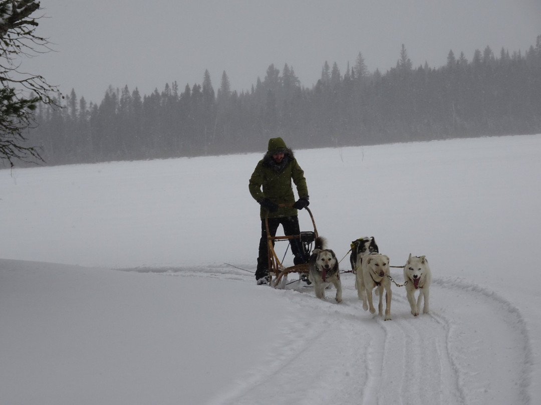 Vie d'Avant-Ture-Mont-Saint-Michel必去景点