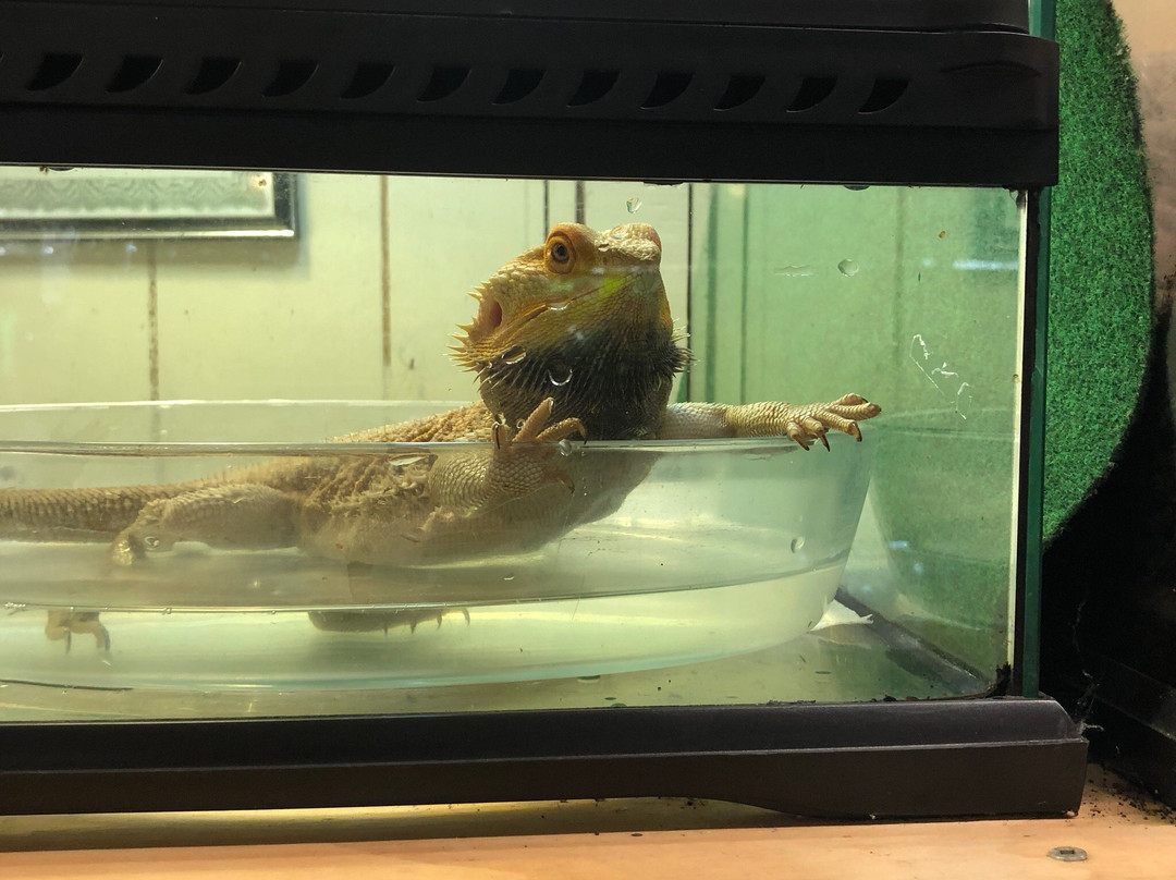 Urban Safari Rescue Society-素里必去景点