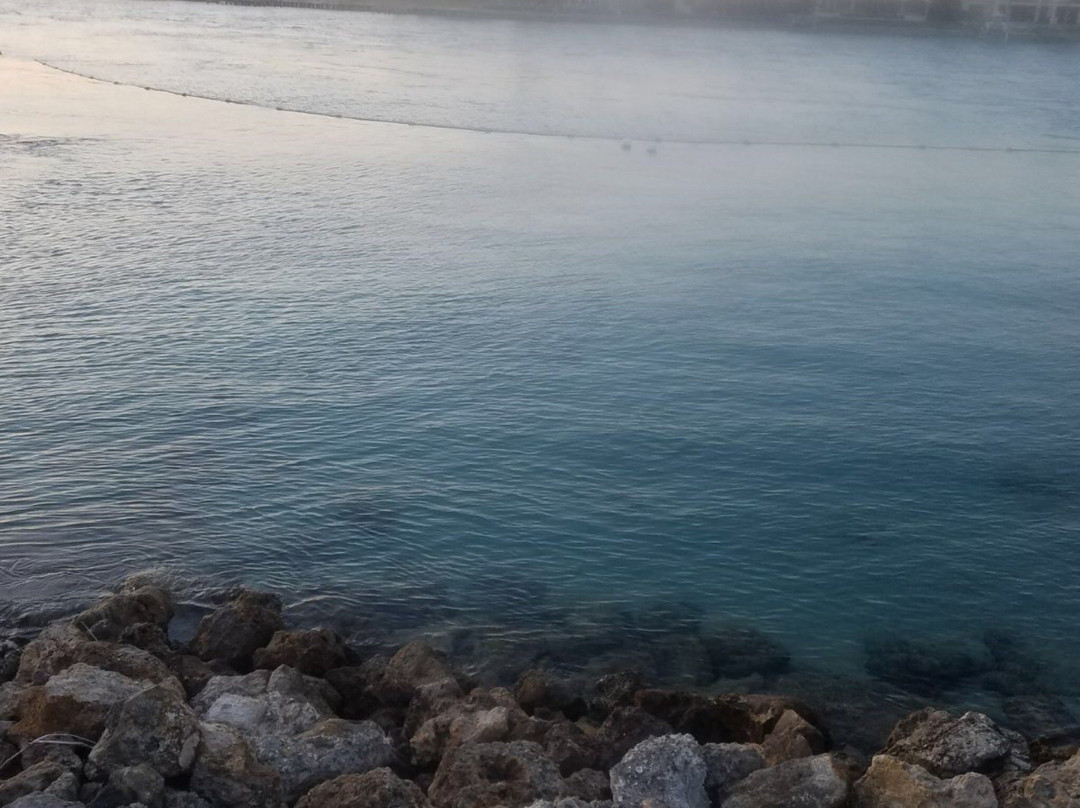 Jupiter Beach Park-朱庇特必去景点