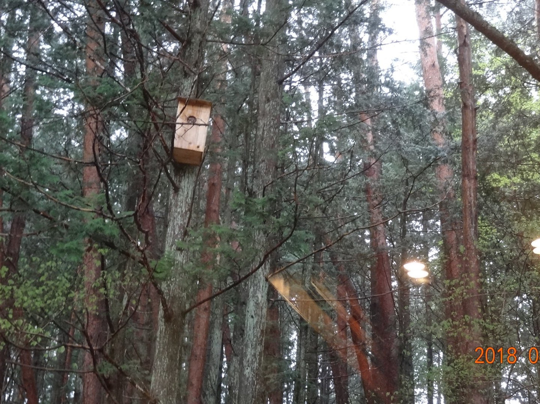 Komagane Kogen Resort Linx主图