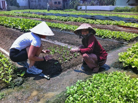 The Vietnam Wanderers