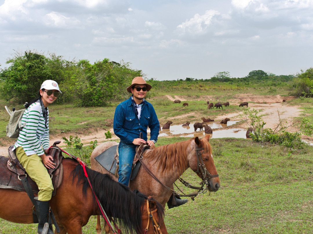Wild Llanos Tours and Safaris景点图片