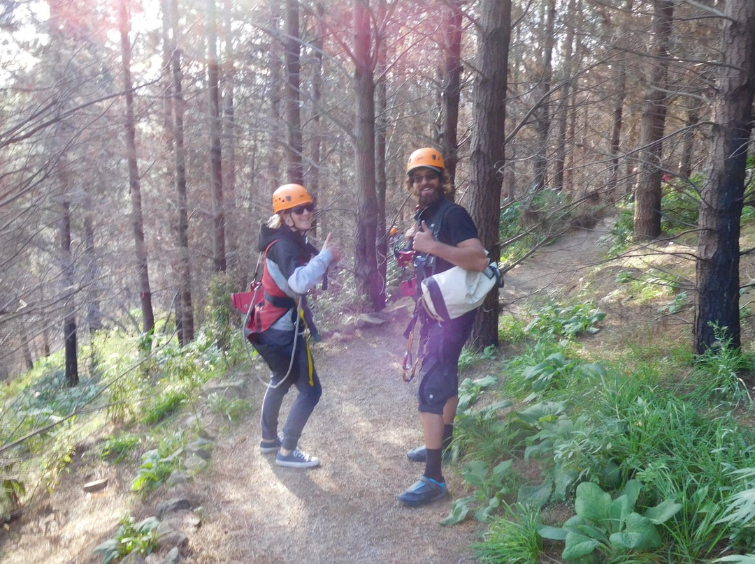 Christchurch Adventure Park-基督城必去景点