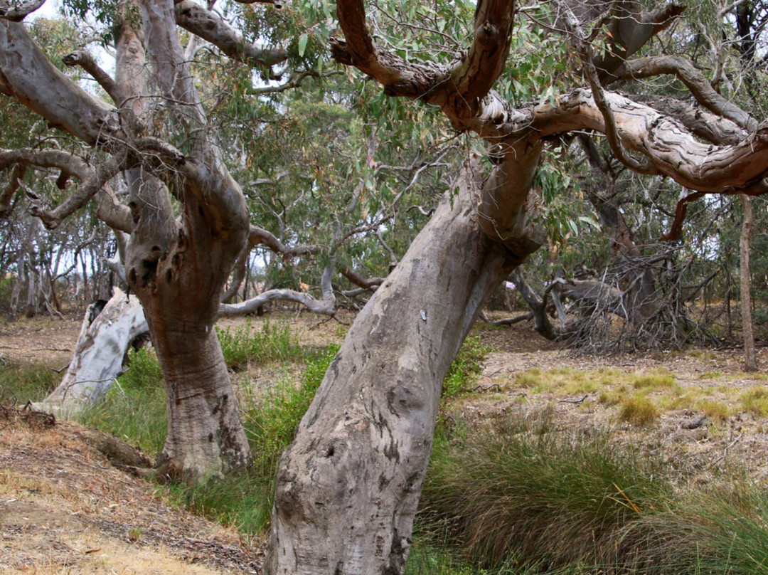 Stewarts Reserve-Waurn Ponds必去景点