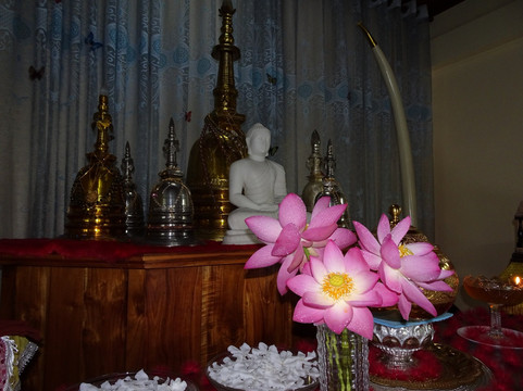 Mahamevnawa Amadahara Buddhist Monastery Pinnawala-品纳维拉必去景点