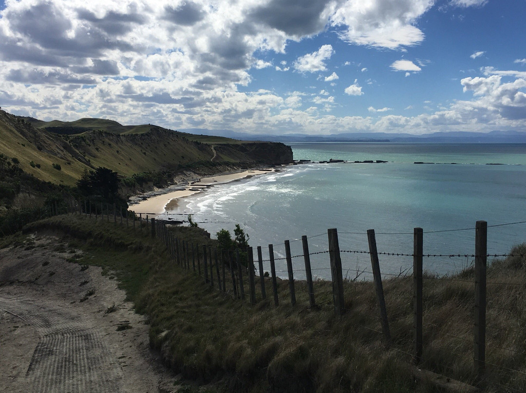 Cape Kidnappers景点图片