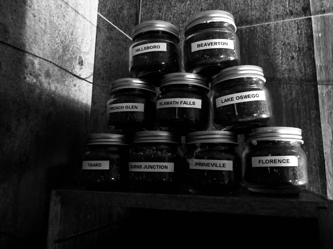 Stumptown Escape Games-泰格德必去景点