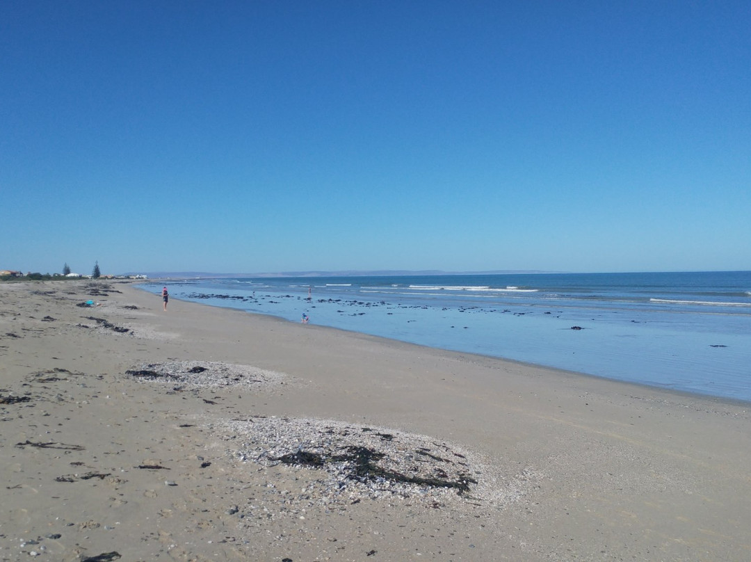 Dwarskersbos旅游攻略图片