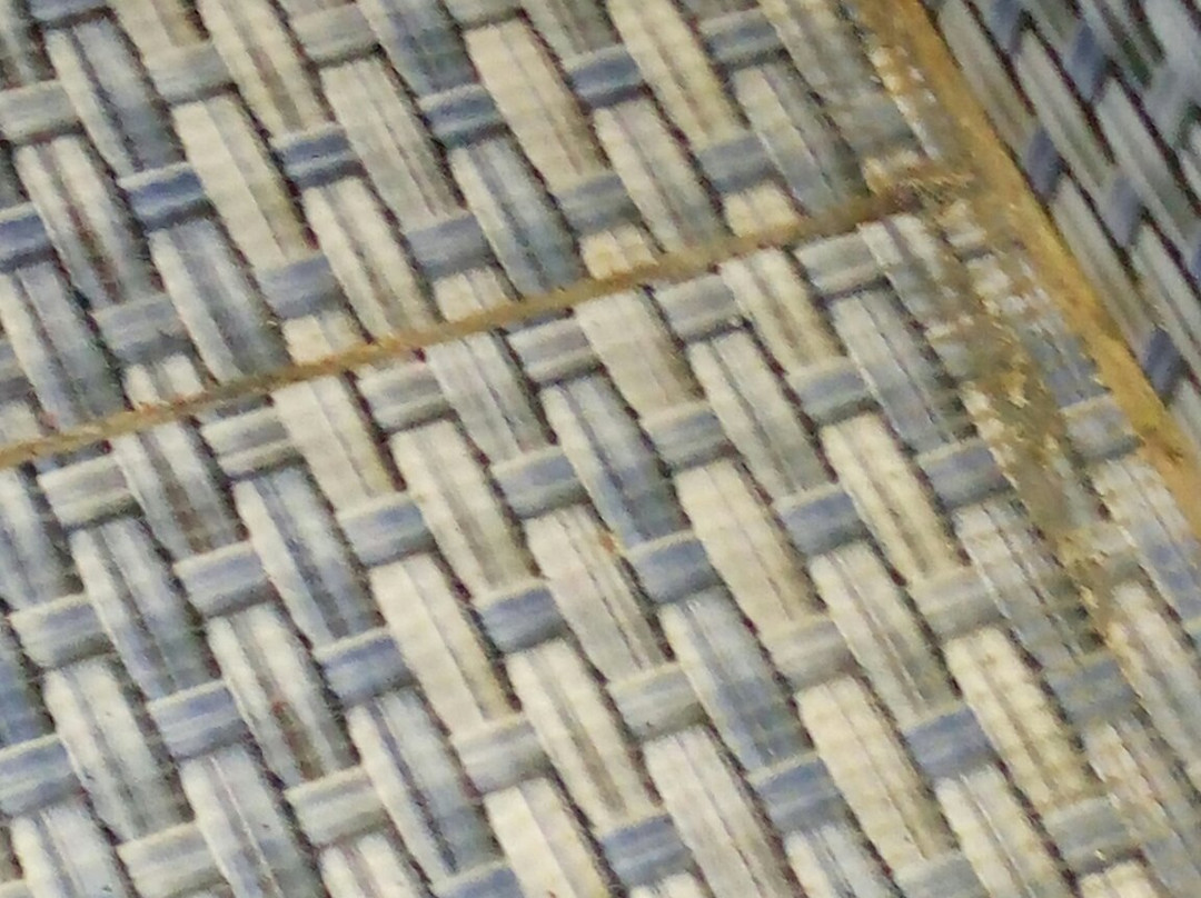 Silvanus Forest Retreat, Alibaug主图