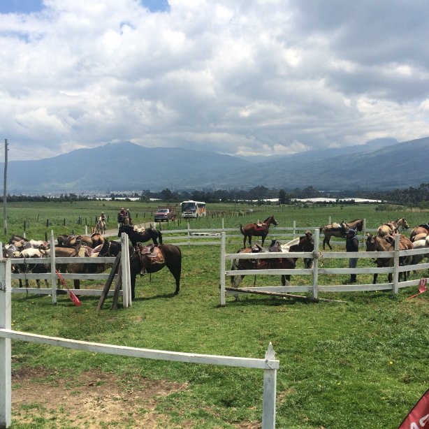 Hacienda El Rejo-酒店景观