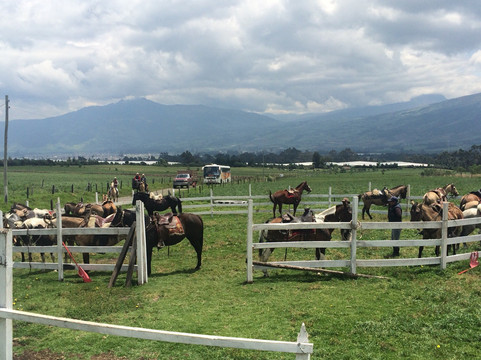 Hacienda El Rejo主图