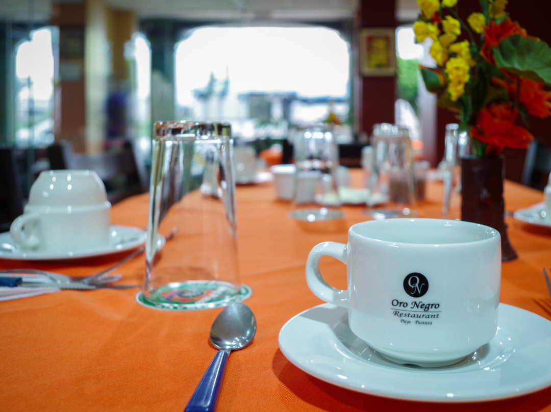 Hotel Oro Negro主图