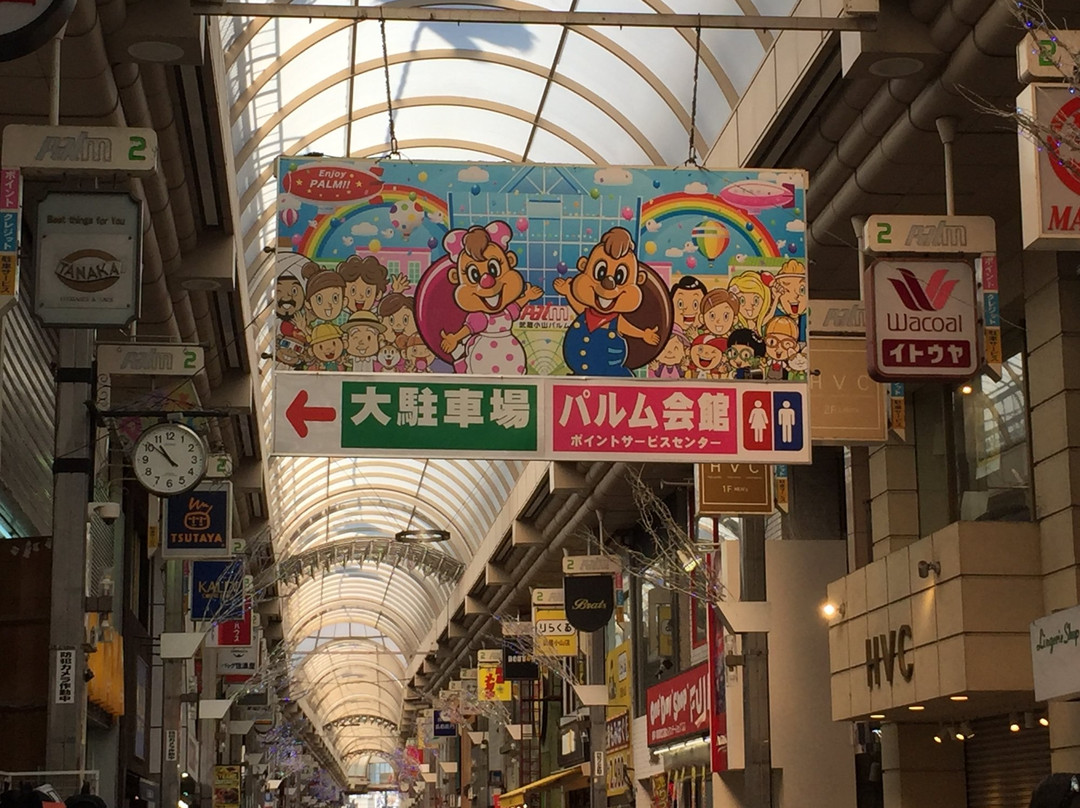 Musashi Koyama Shopping Street Palm景点图片