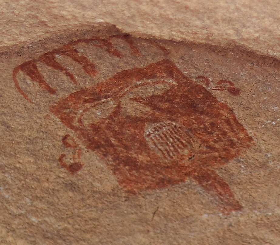 Blue Lizard Climbing & Yoga-埃尔帕索必去景点