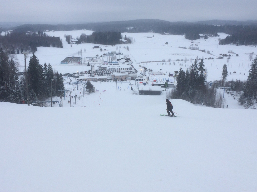 Vihti Ski