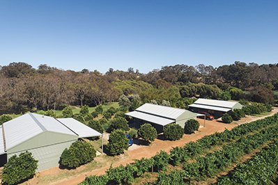 Swan Valley Sisters