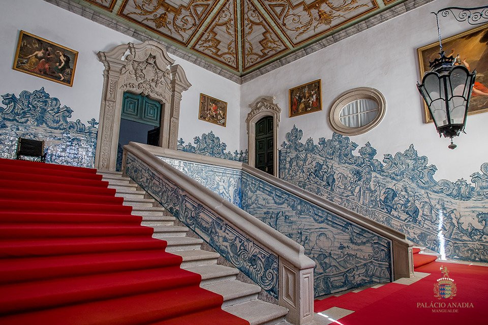 Palacio dos Condes de Anadia景点图片