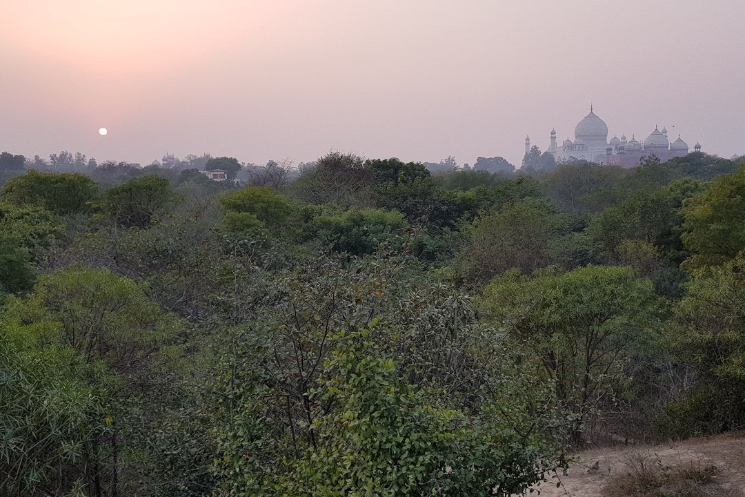 Taj Nature Walk景点图片