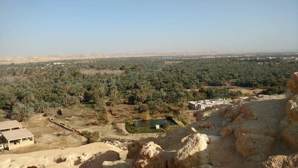 Graeco-Roman Tombs-西瓦必去景点