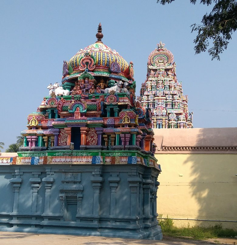 Sri Someswar Temple景点图片