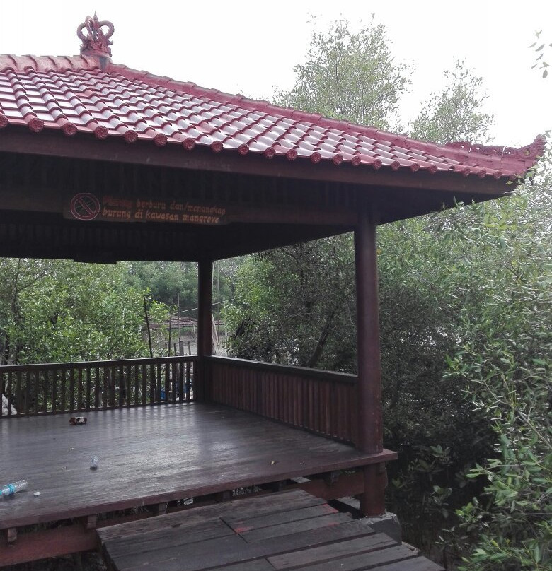 Banyuurip Mangrove Center (BMC)景点图片