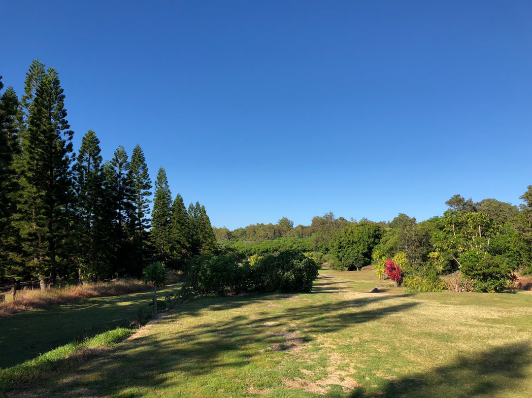 卡拉奇洛哈纳酒店主图