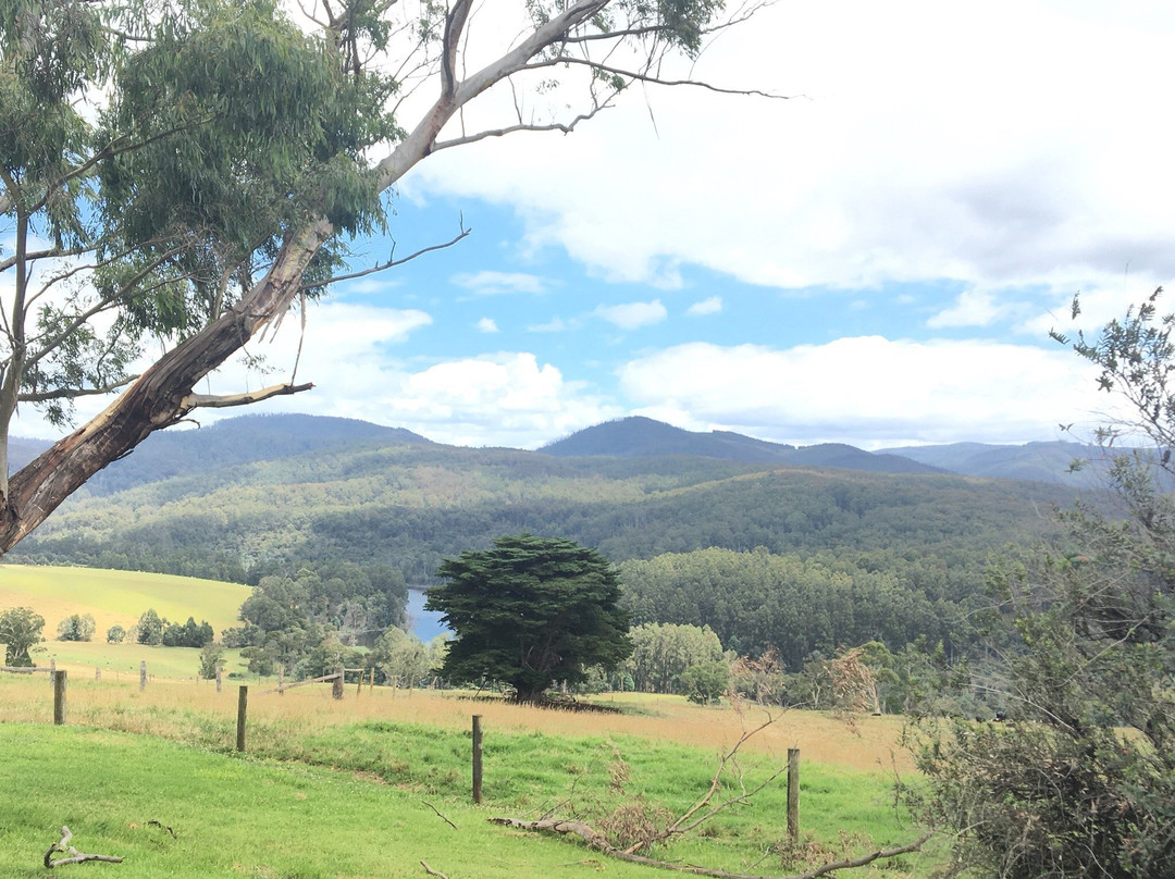Little Charli's Lookout-Neerim South必去景点