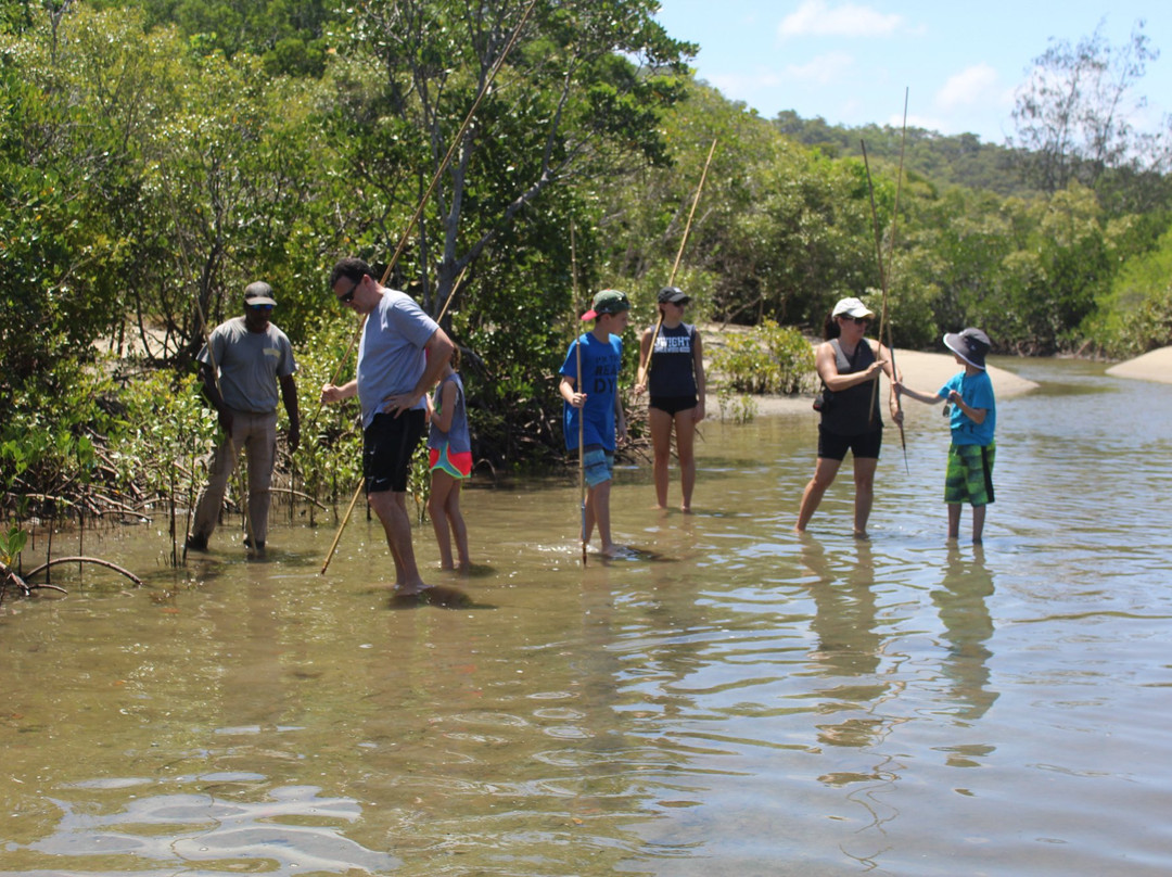 Walkabout Cultural Adventures-Daintree必去景点