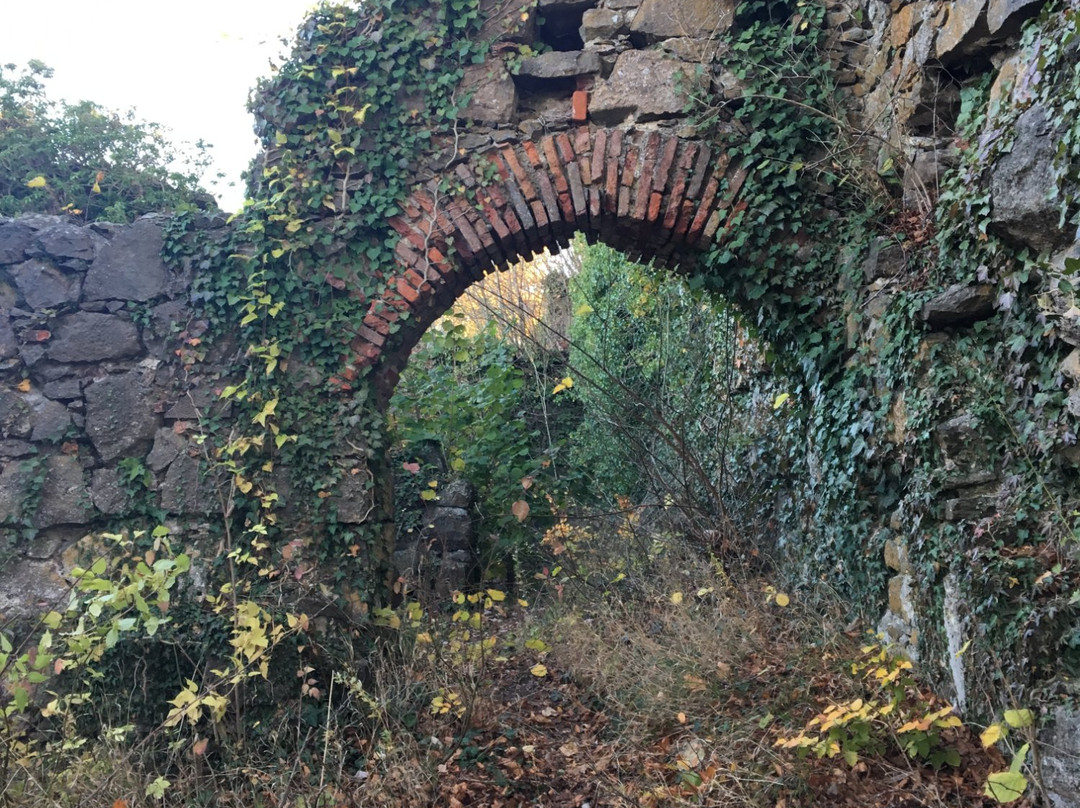 Burgruine Hohenkräehen景点图片