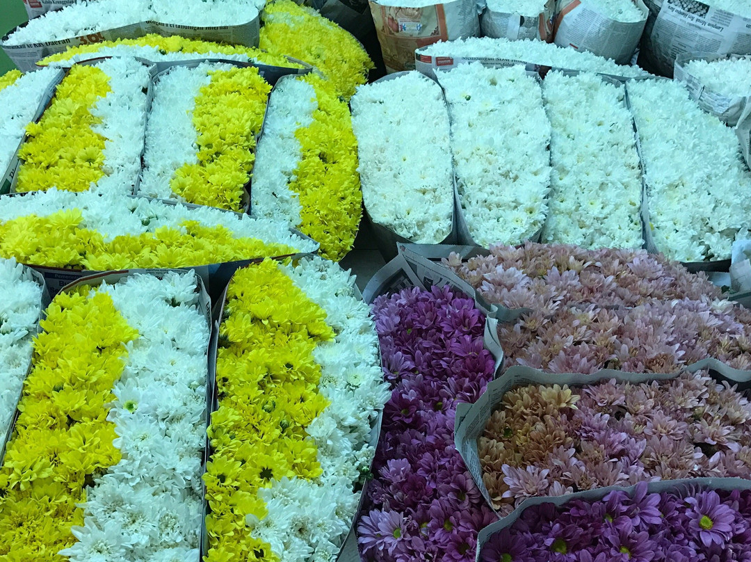Rawa Belong Flower Market-雅加达必去景点