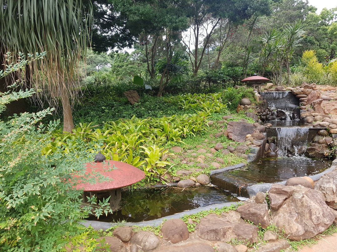 Durban North Japanese Gardens景点图片