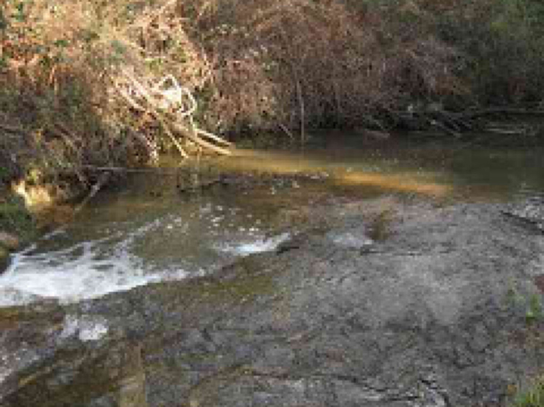 Quinn Reserve-Mount Evelyn必去景点