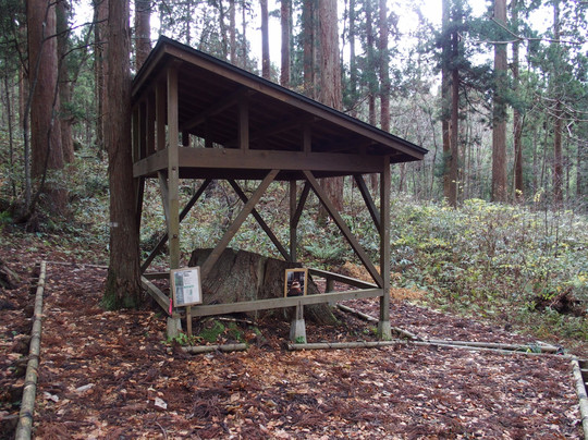 Kamiouchisawa Nature Observation Training Forest-上小阿仁村必去景点