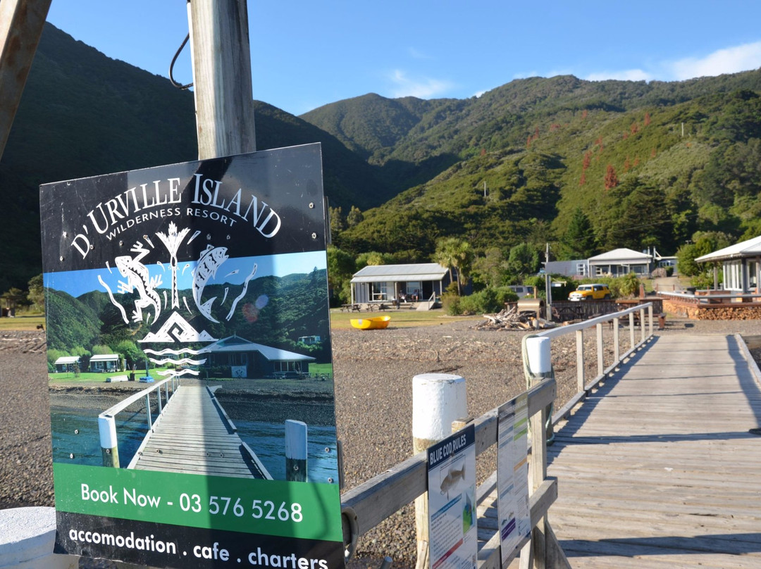 Molesworth High Country Tours-布伦海姆必去景点