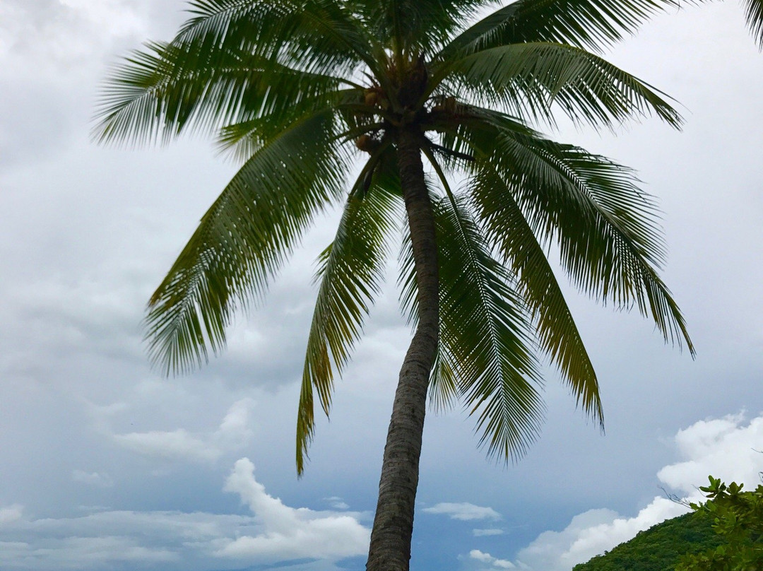 三亚美高梅度假酒店
