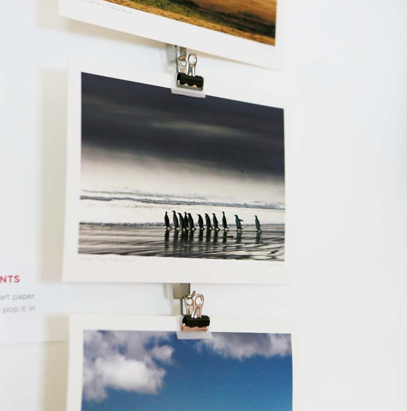 Studio 52-Stanley必去景点