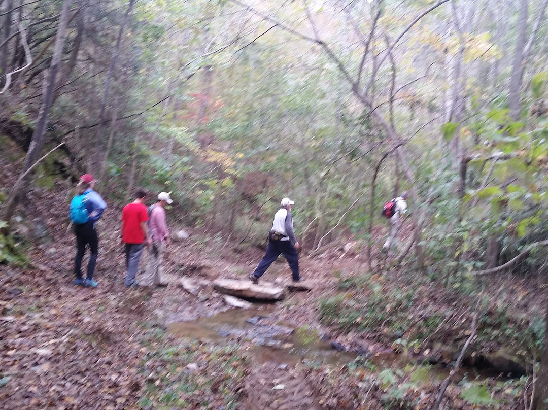 Lake Martin-Alexander City必去景点