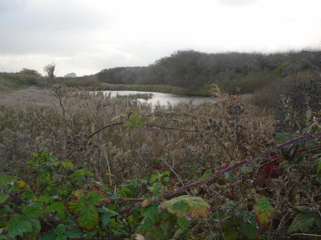 De Fonteintjes-布鲁日必去景点