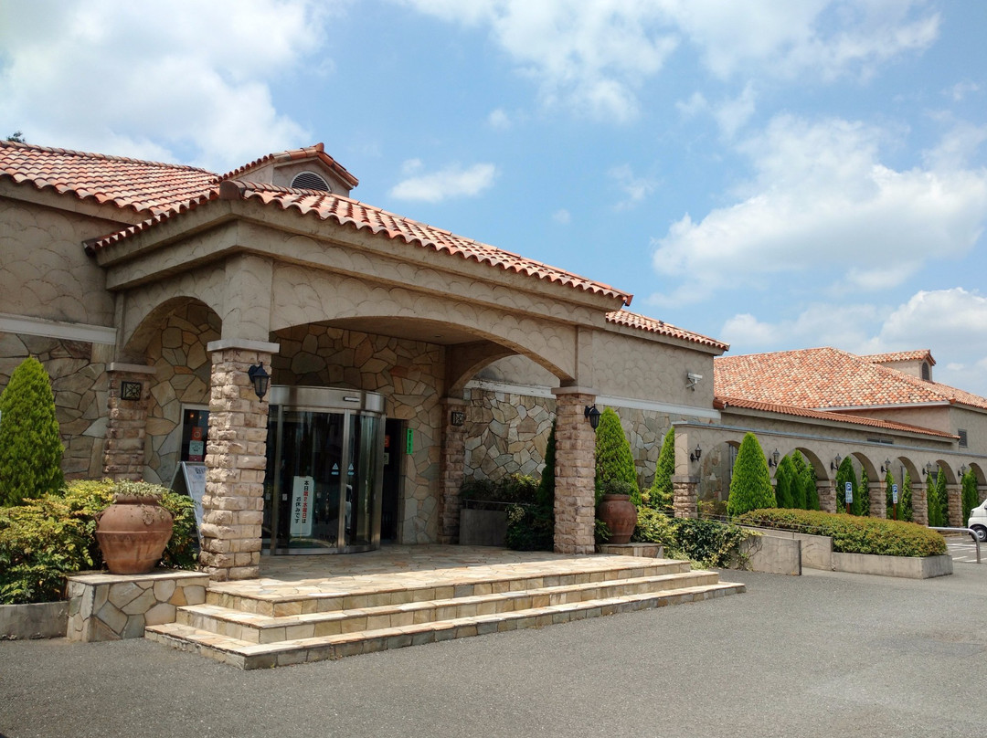 Kodaira Onsen Terme Ogawa-小平市必去景点