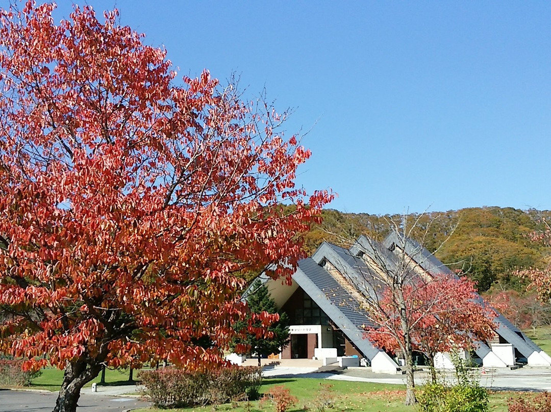 Memorial Park Beppo Park景点图片