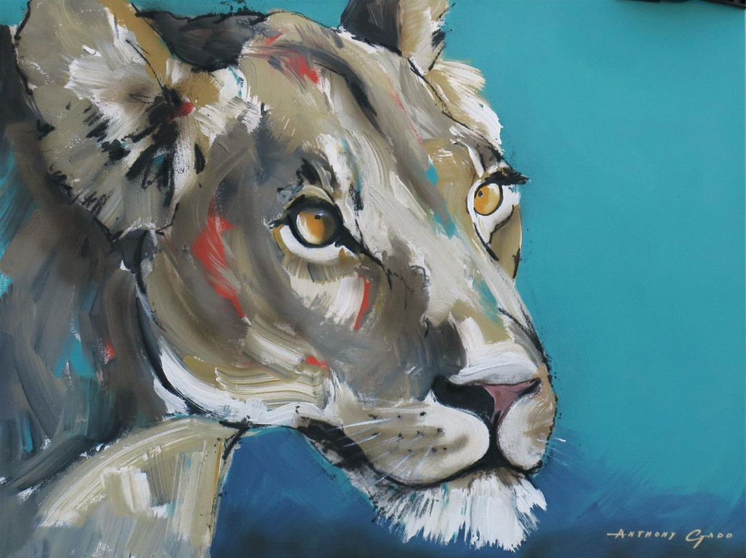 Marzé Botha Art Gallery-斯泰伦博斯必去景点