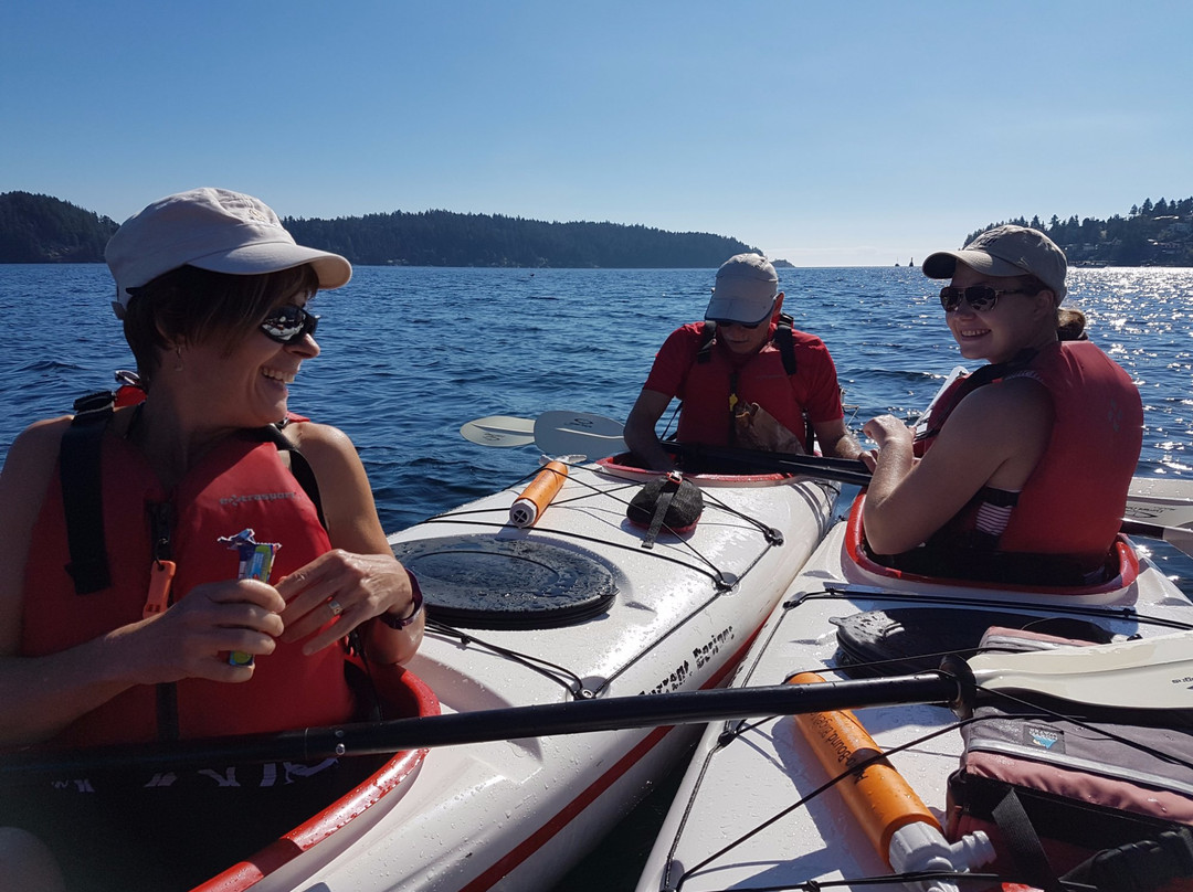 Sunshine Coast Kayaks-吉布森斯必去景点