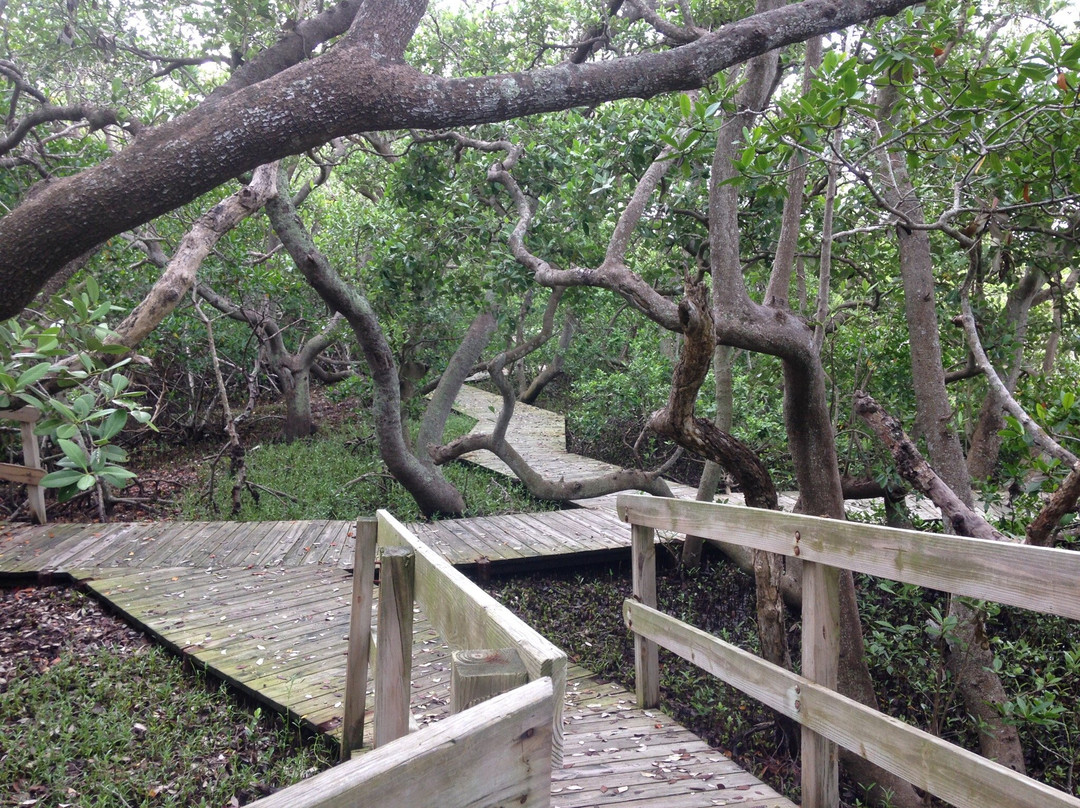 Coquina Baywalk景点图片