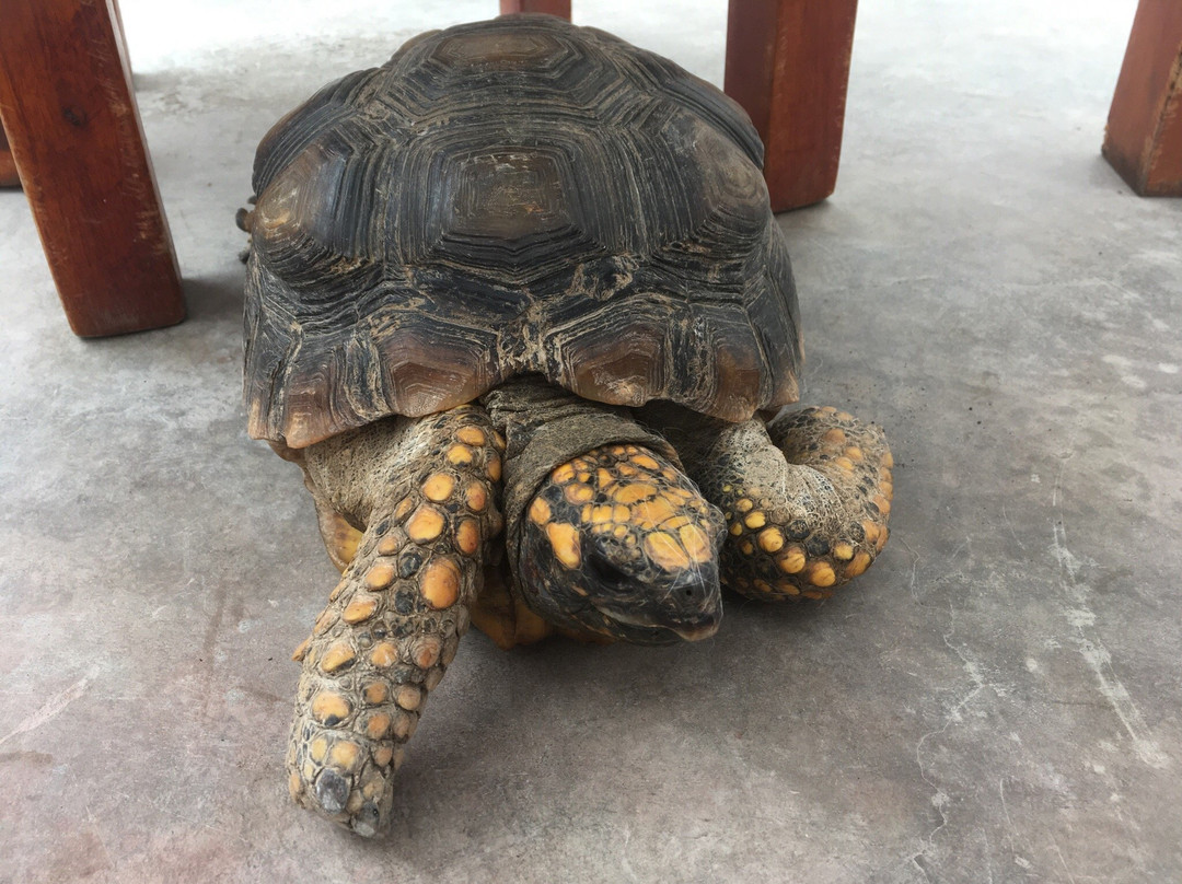 Atma Yoga Huanchaco-Huanchaco必去景点