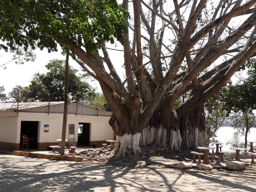 Carmo Do Rio Claro餐馆和美食-Restaurante Seringueira
