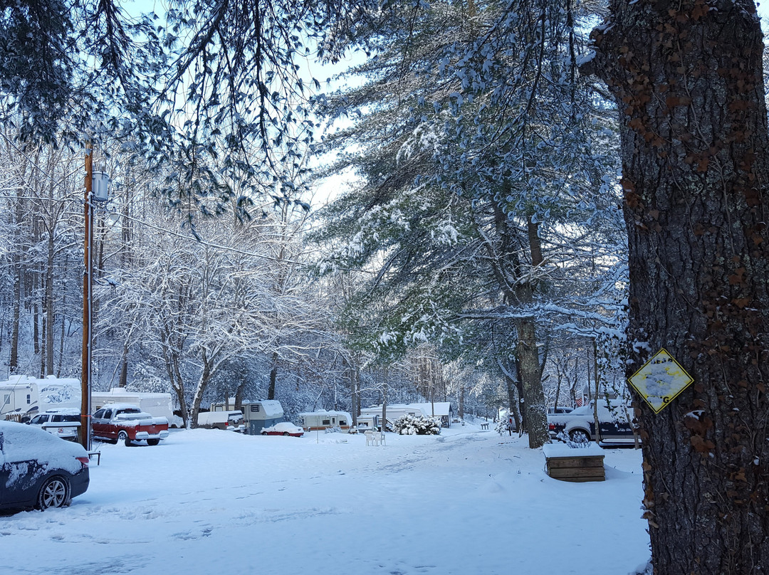 Mi Mountain Campground
