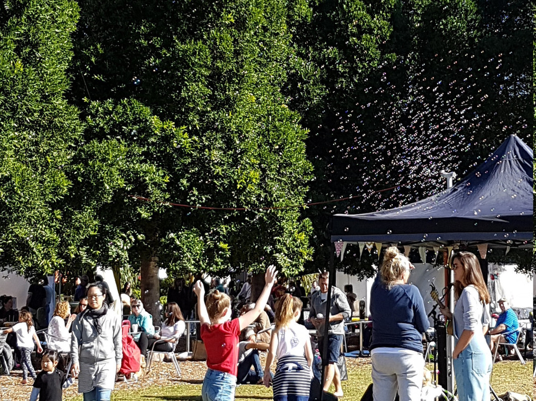 Evandale Park-冲浪者天堂必去景点