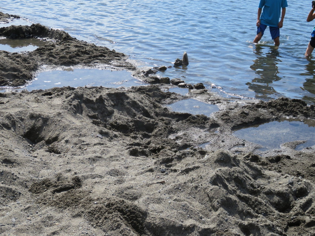 屈斜路湖-弟子屈町必去景点