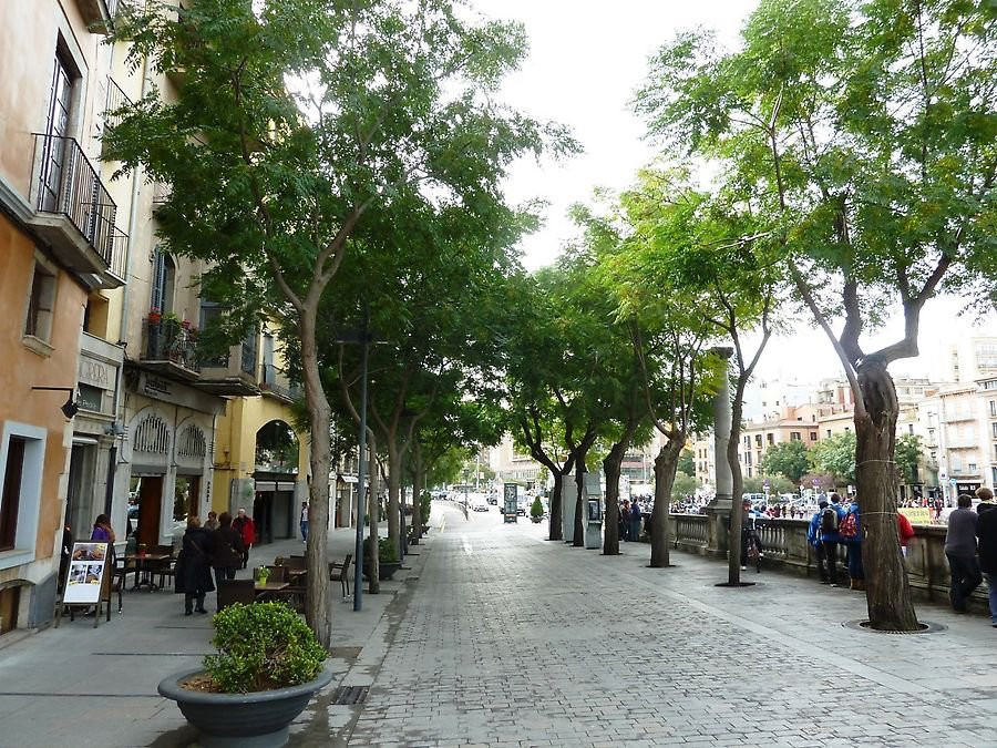 Rambla de la Libertad景点图片