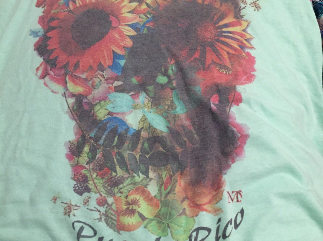 Monkey Threads-Luquillo必去景点